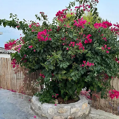 Sappir House Pigadhákia