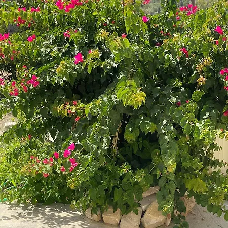 بيت للعطل Sappir House Pigadhákia